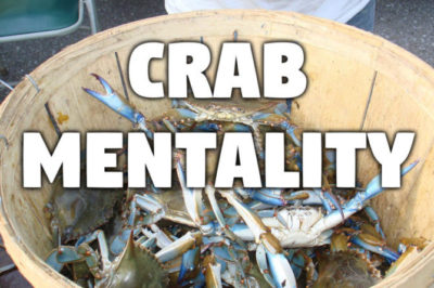 15th October , Thursday - crab mentality!