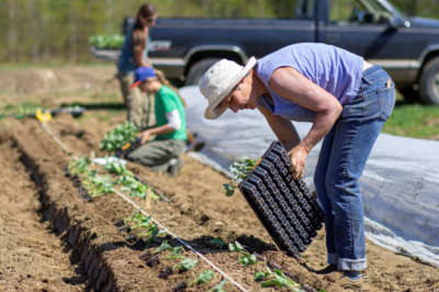 Monday of Fifth Week In Lent, April 4th 2022: PLANTING SEASON: LENT