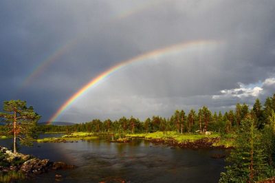 Sunday, 6/5/16 - Rains of Life